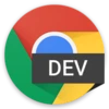 Chrome Dev 155.0.8040.0 Free Download For Window icon